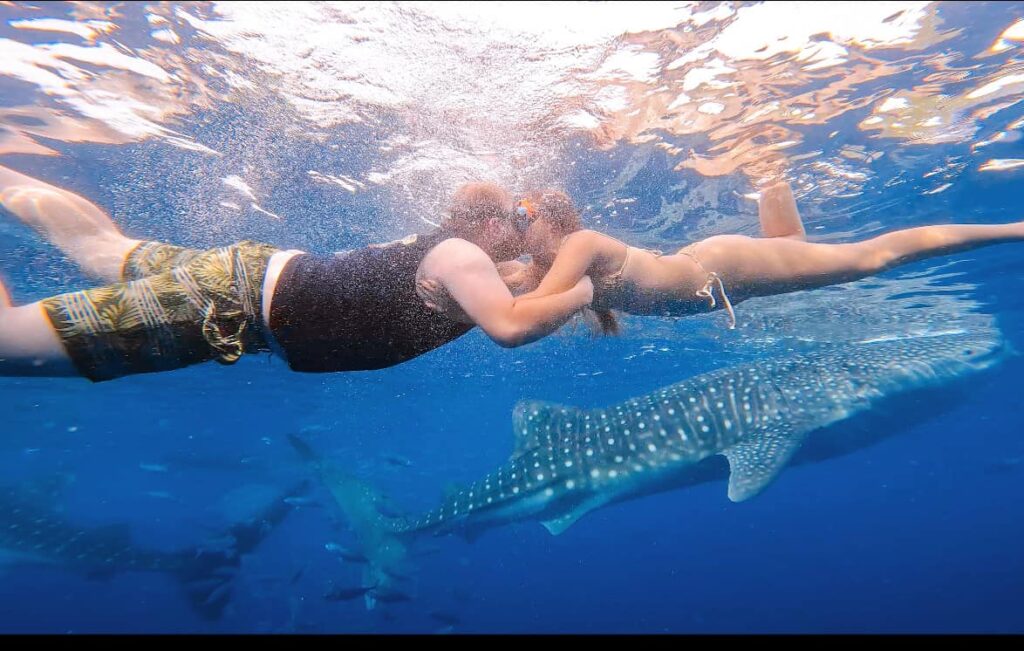 Oslob Whale Sharks