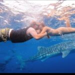 Oslob Whale Sharks