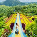 Cebu City Tours