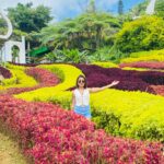 Cebu City Tours