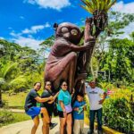 Cebu - Bohol Countryside Affordable Tour Package